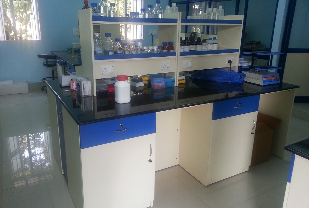 Lab Storage with Reagent Rack and Working Table